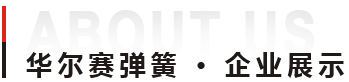 廣東華爾賽彈簧實(shí)業(yè)有限公司