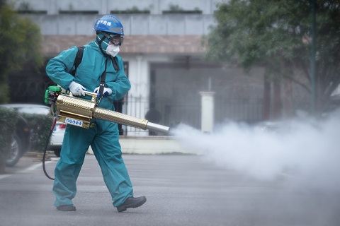 病媒生物防治宣傳知識